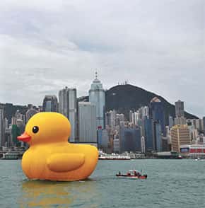 CREATIF_KOTSKA_CONSEIL